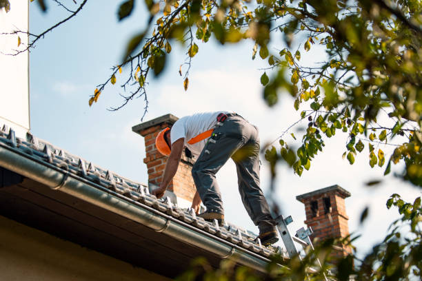 Best Sheet Metal Roofing  in Monroe, MI