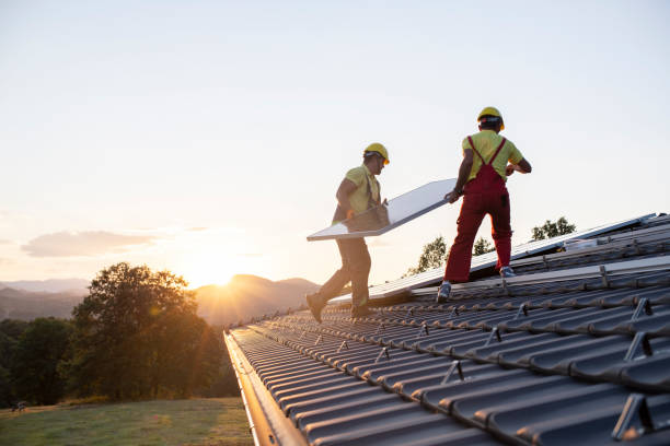 Best Storm Damage Roof Repair  in Monroe, MI