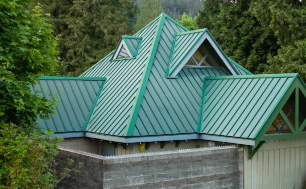 Best Roof Maintenance and Cleaning  in Monroe, MI