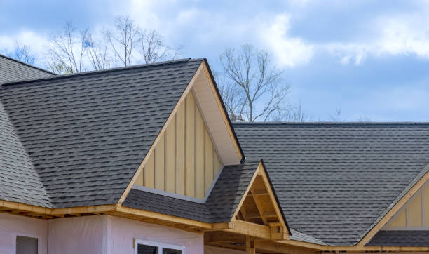 Best Roof Moss and Algae Removal  in Monroe, MI